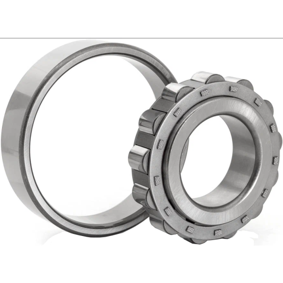 HRBQC Single row cylindrical roller bearings-N309 E